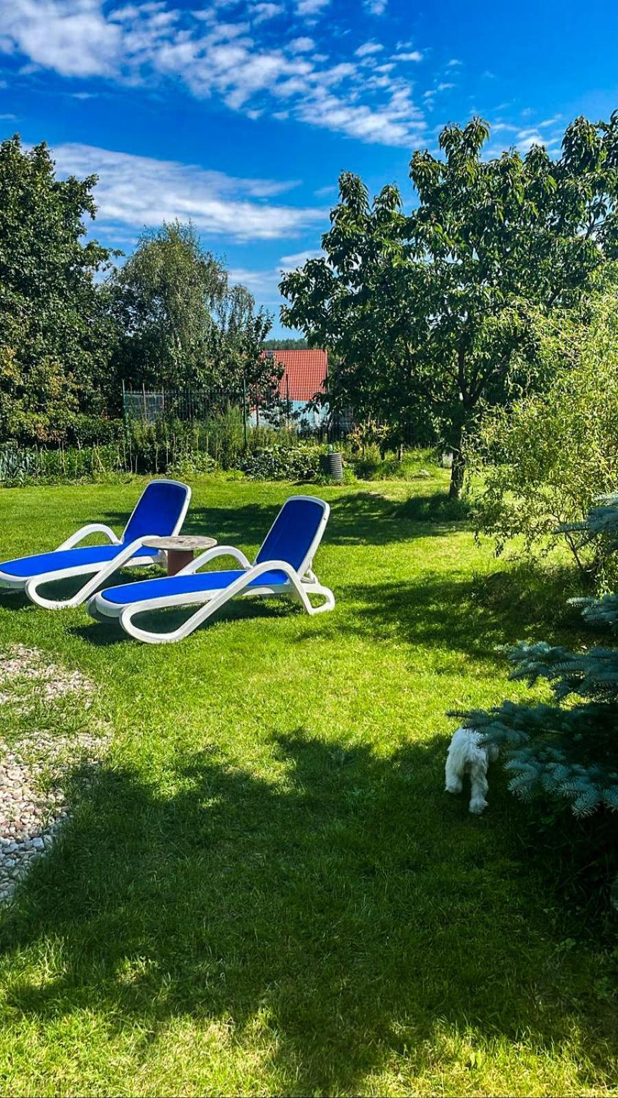 Willa Szymbark - Basen, Sauna, Balia, Jacuzzi, Dom Caloroczny W Szymbarku Eksteriør billede